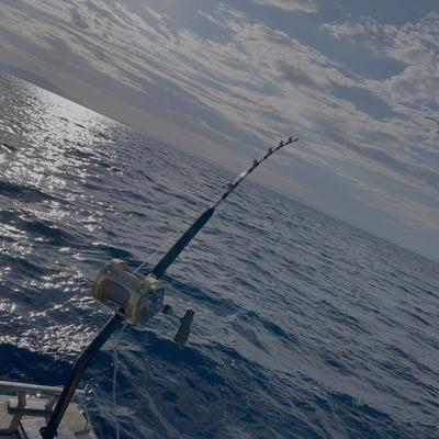 Fishing Vinka