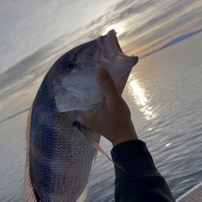 Fishing Vinka